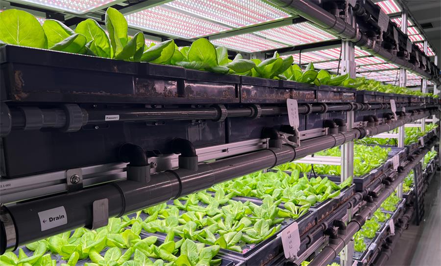 人工氣候室規(guī)劃設(shè)計(jì)